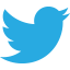 Logo Twitter